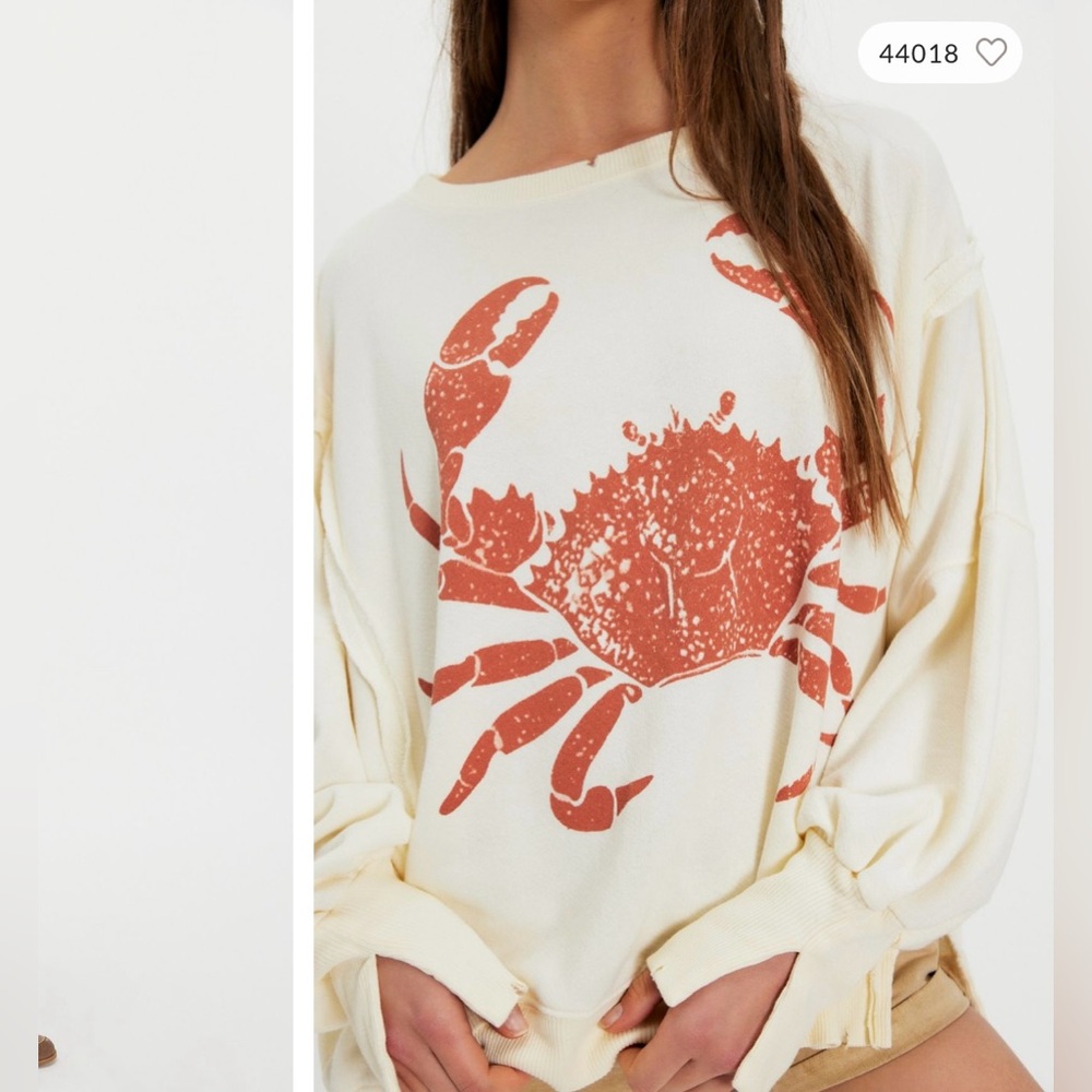 NWT Free People We The Free Graphic Camden Pullover - crab combo - Large - Picture 5 of 10